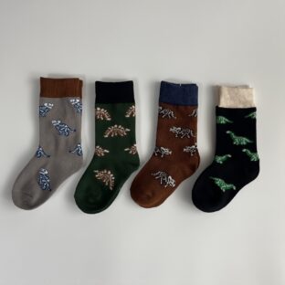 Dino socks 4pcs